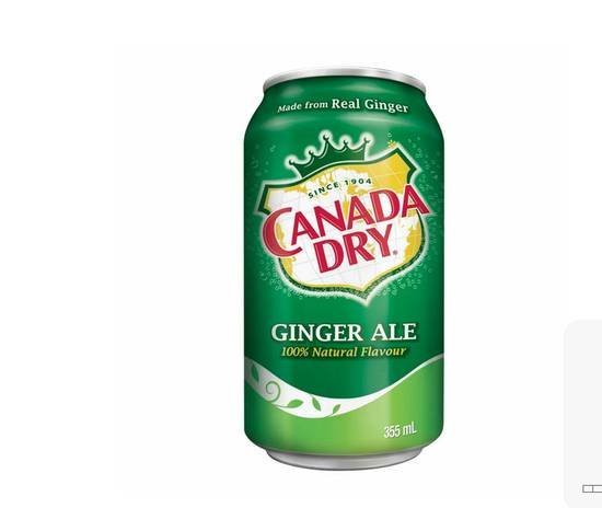 Canada Dry Ginger Ale Can 355 ML - BAR 24 - Coyote